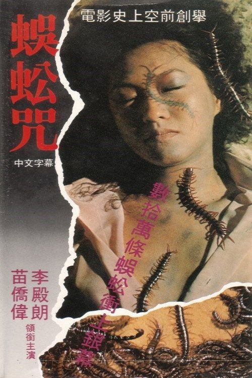 蜈蚣咒 封面