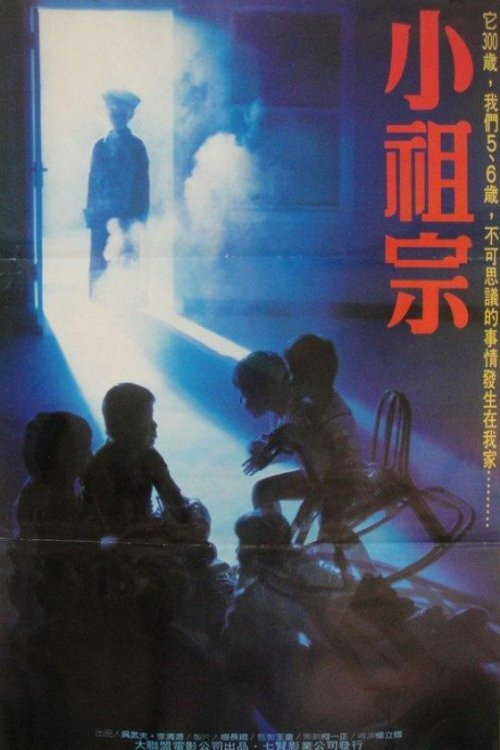 小祖宗 封面