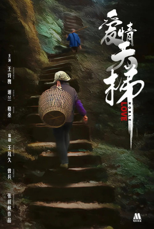 爱情天梯 封面