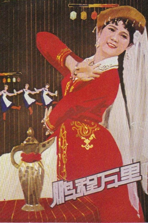 鹏程万里 封面