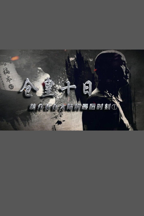 仓皇十日：蒋介石在大陆的最后时刻 封面