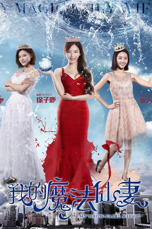 我的魔法仙妻 封面