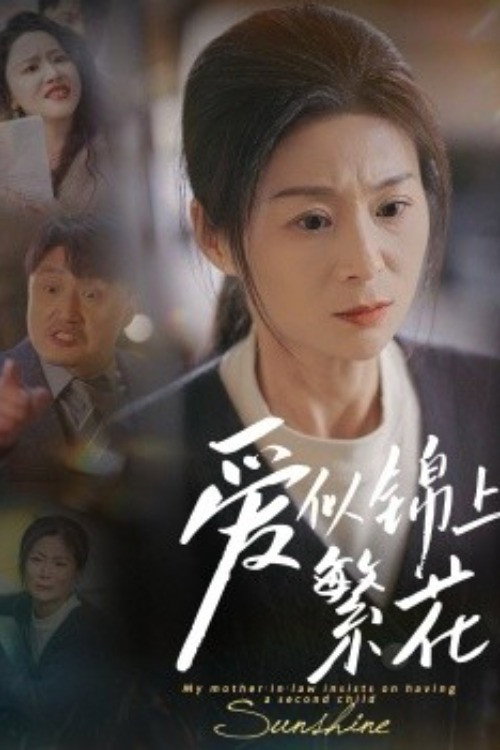 爱似锦上繁花 封面