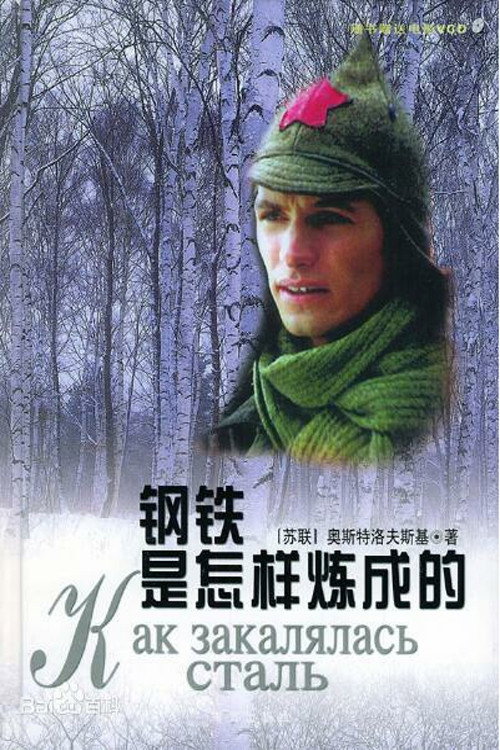 钢铁是怎样炼成的 封面