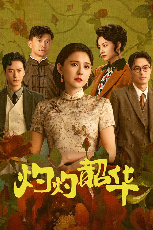 灼灼韶华 封面