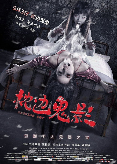 枕边诡影 封面
