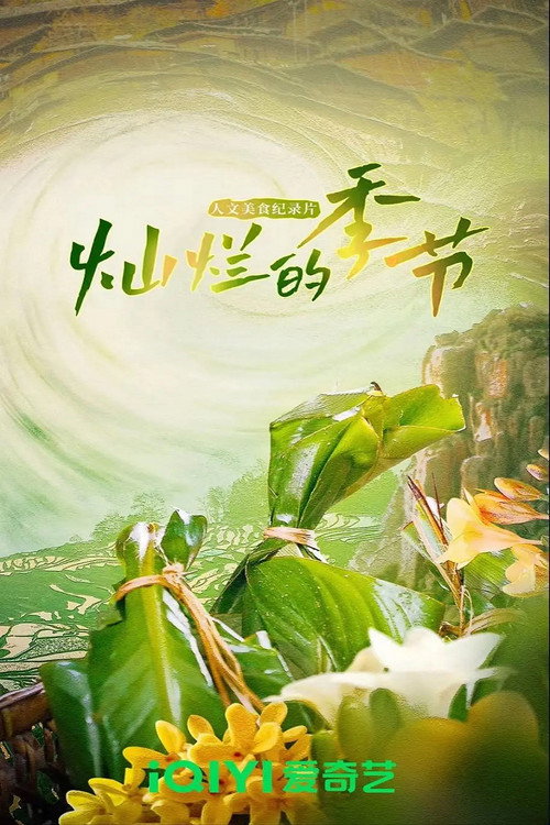 灿烂的季节 封面