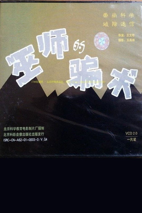 巫师的骗术 封面