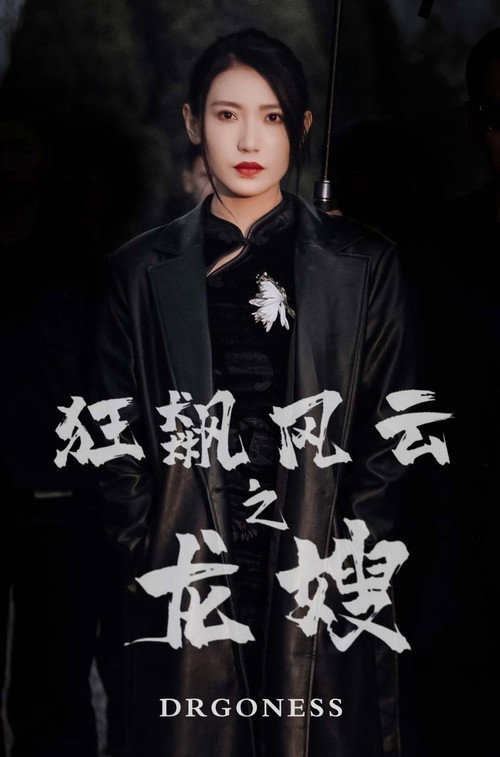 狂飙风云之龙嫂 封面