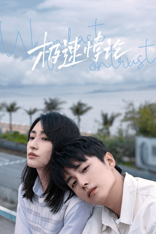 极速悖论 封面