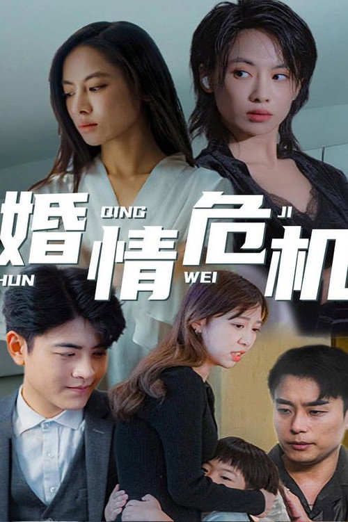 婚情危机 封面