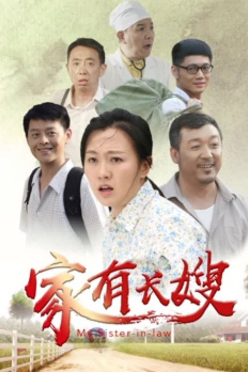 家有长嫂 封面
