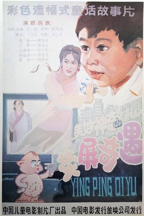荧屏奇遇 封面