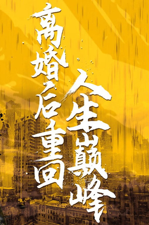 离婚后重回人生巅峰 封面