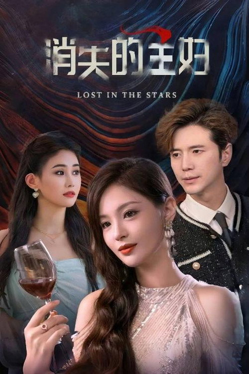 消失的主妇 封面
