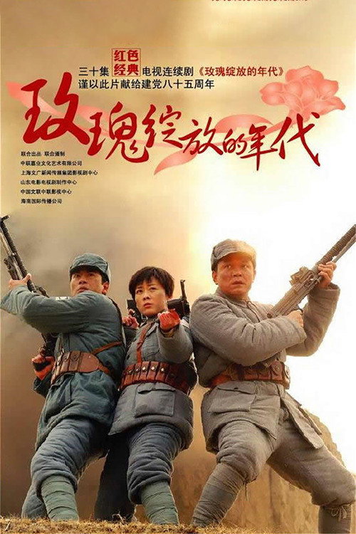 玫瑰绽放的年代 封面