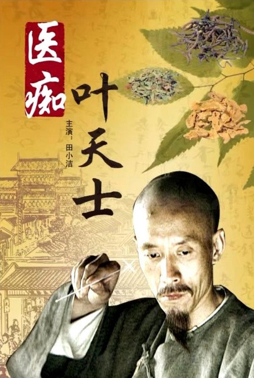 医痴叶天士 封面