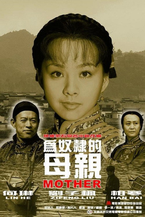 为奴隶的母亲 封面