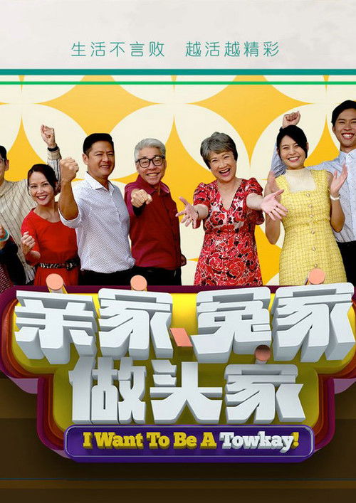 亲家冤家做头家 封面