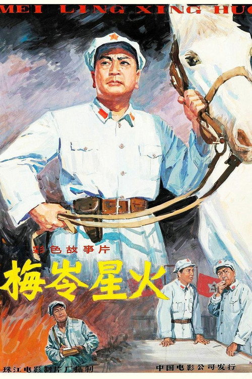 梅岭星火 封面