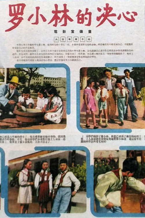 罗小林的决心 封面