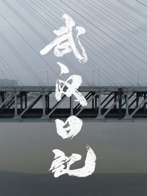 武汉日记 封面