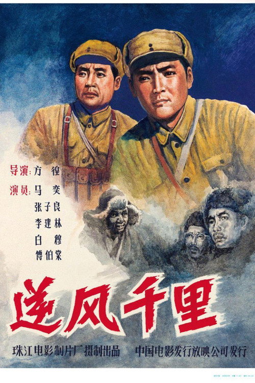 逆风千里 封面
