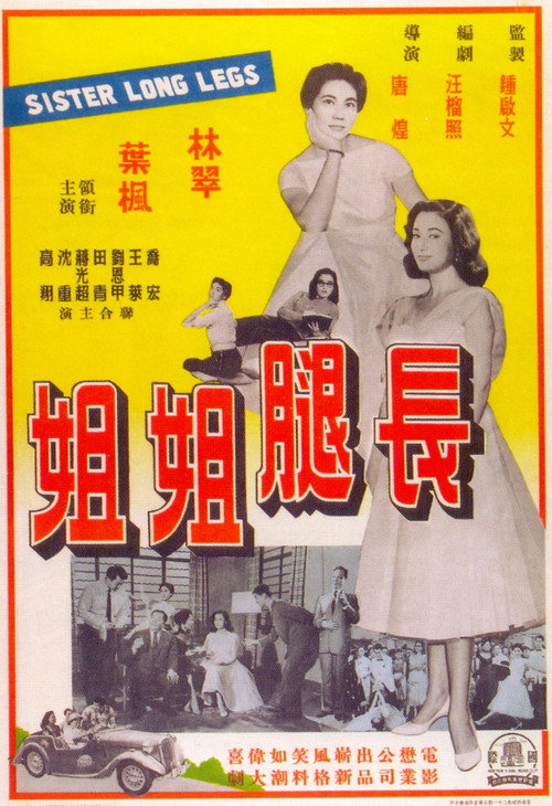长腿姐姐 封面