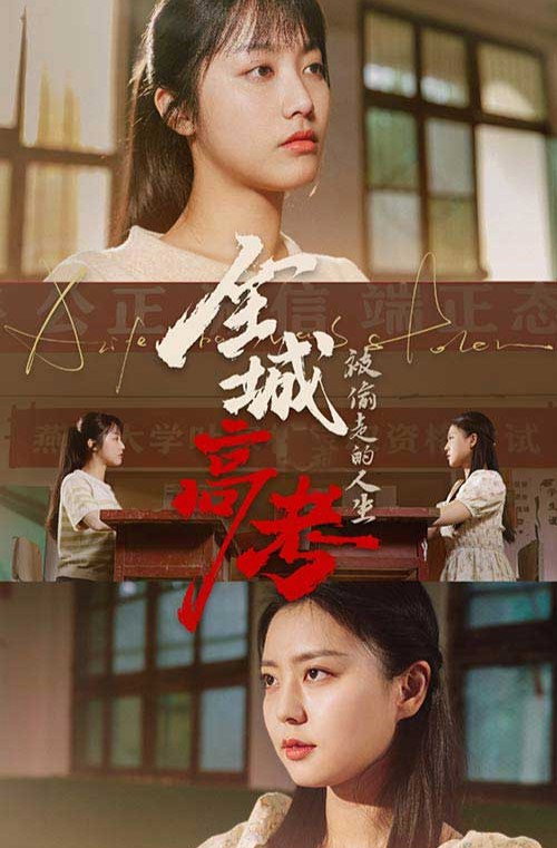 全城高考之被偷走的人生 封面