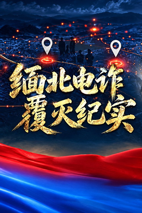 缅北电诈覆灭纪实 封面