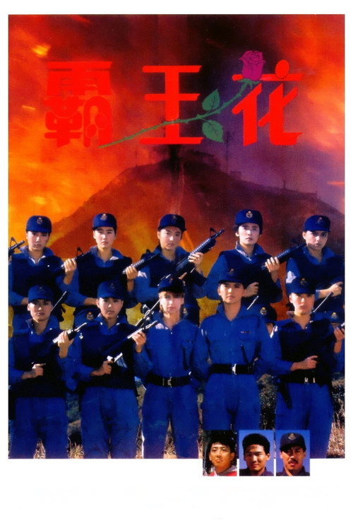 霸王花 封面