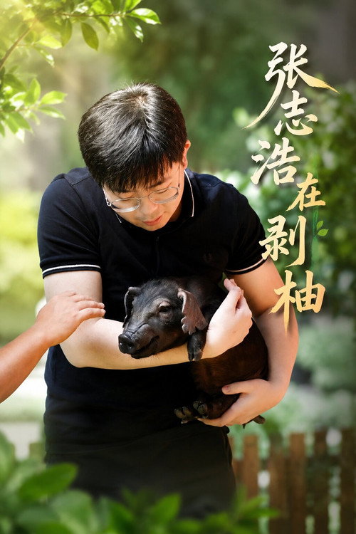 张志浩在剥柚 封面
