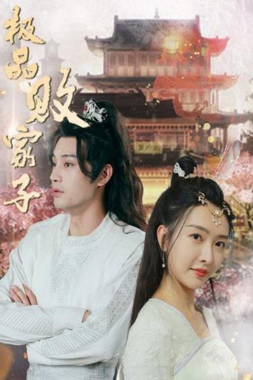 极品败家子 封面