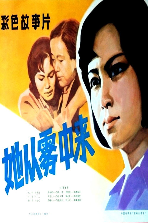 她从雾中来 封面