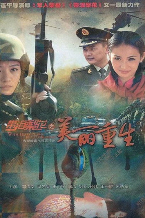 带泪梨花之美丽重生 封面