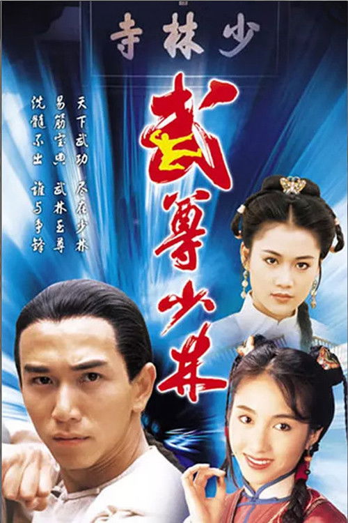 武尊少林 封面