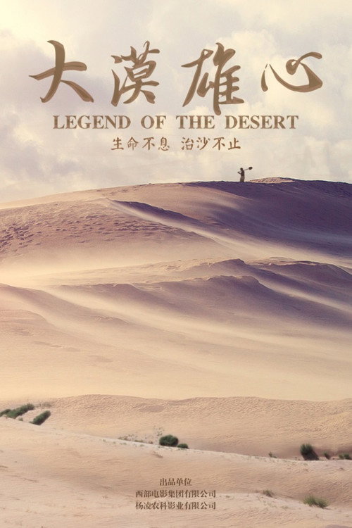 大漠雄心 封面