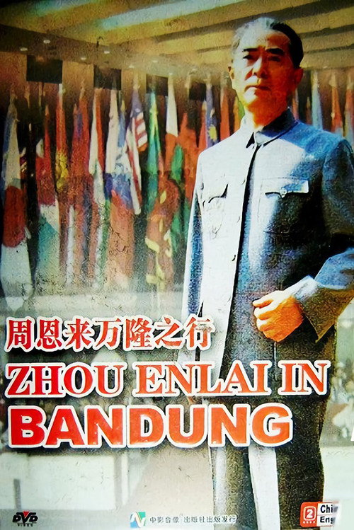 周恩来万隆之行 封面
