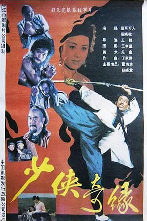 少侠奇缘 封面