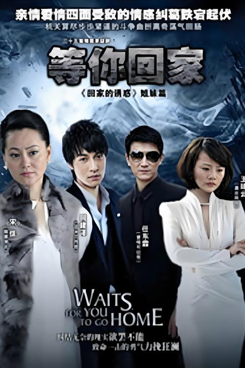 等你回家 封面