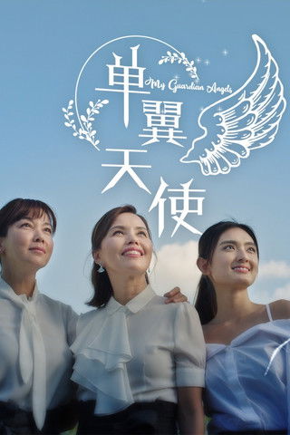 单翼天使 封面
