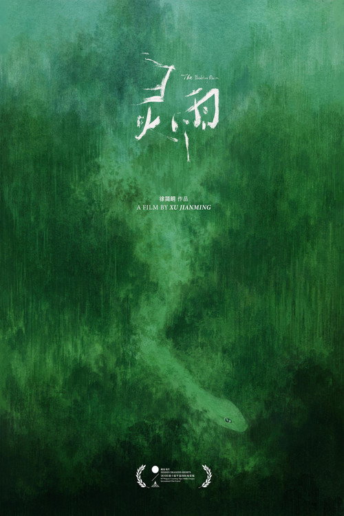 灵雨 封面