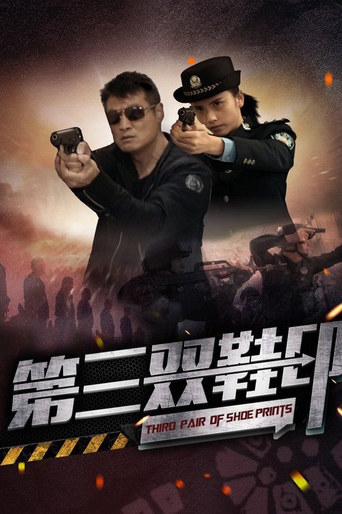 第三双鞋印 封面