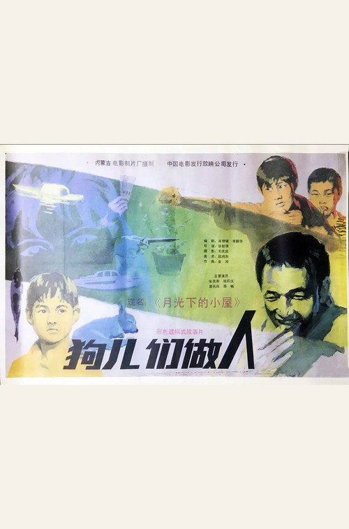 月光下的小屋 封面