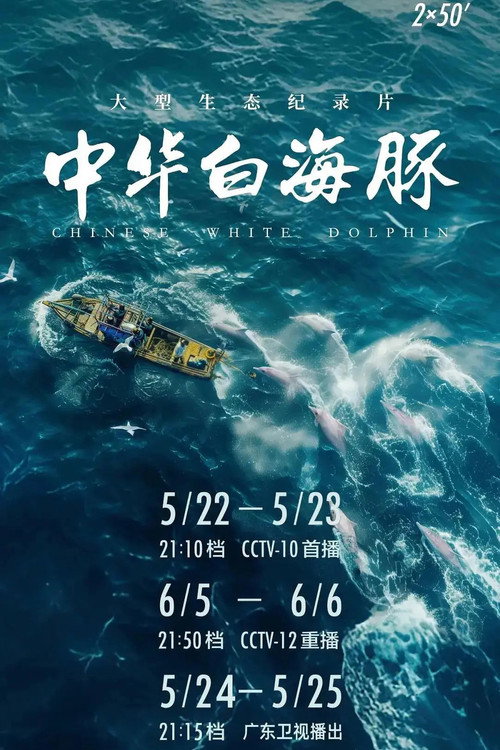中华白海豚 封面