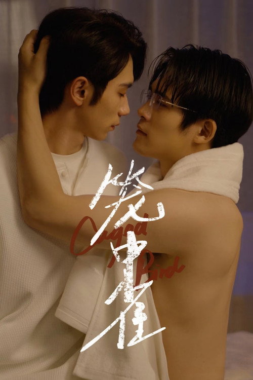 笼中雀 封面