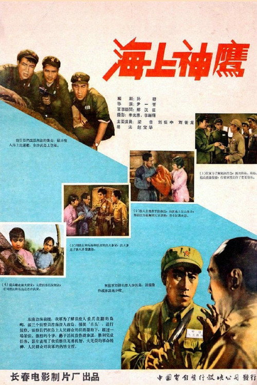 海上神鹰 封面