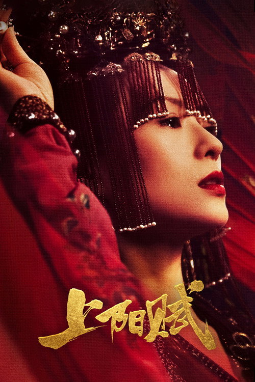 上阳赋 封面