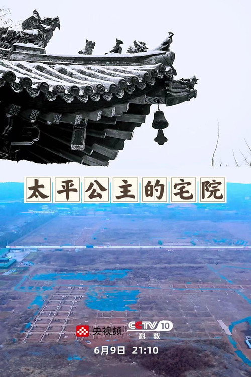 探索发现:太平公主的宅院 封面