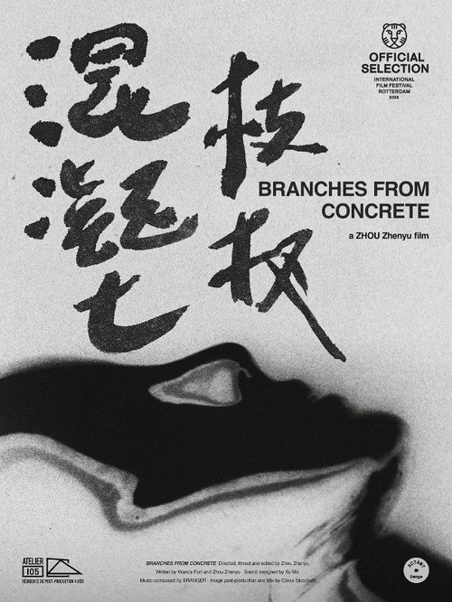 混凝土枝杈 封面